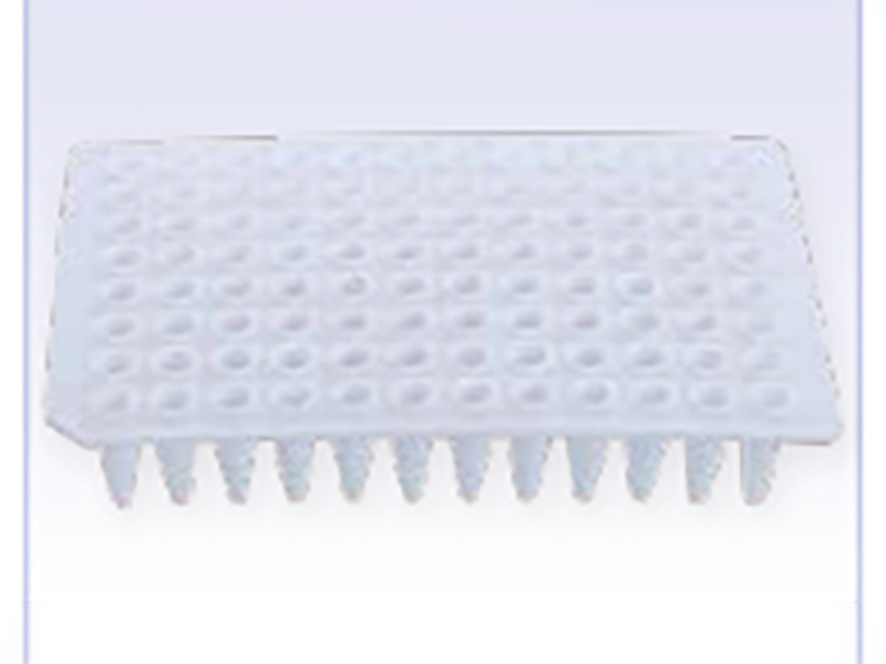 PCR plate(图3)