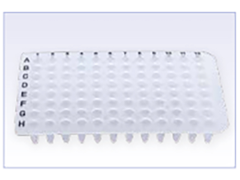 PCR plate(图1)
